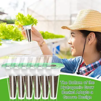 Гидропонная система посадки, набор для выращивания трав, набор для гидропонного выращивания, 120 шт. Аксессуары Aerogarden для брендов, Сменные корзины